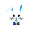 Boy Bunny