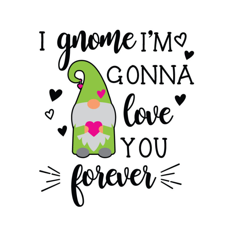 I Gnome I'm Gonna Love You Forever