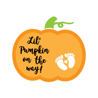 Lil' Pumpkin On The Way