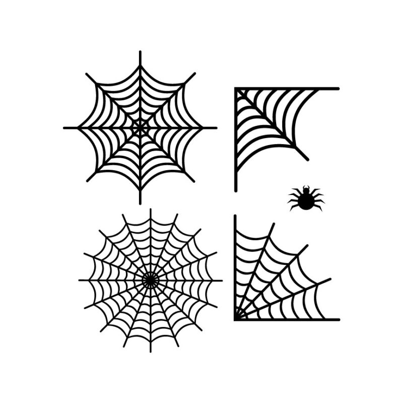 Spider Webs Collection