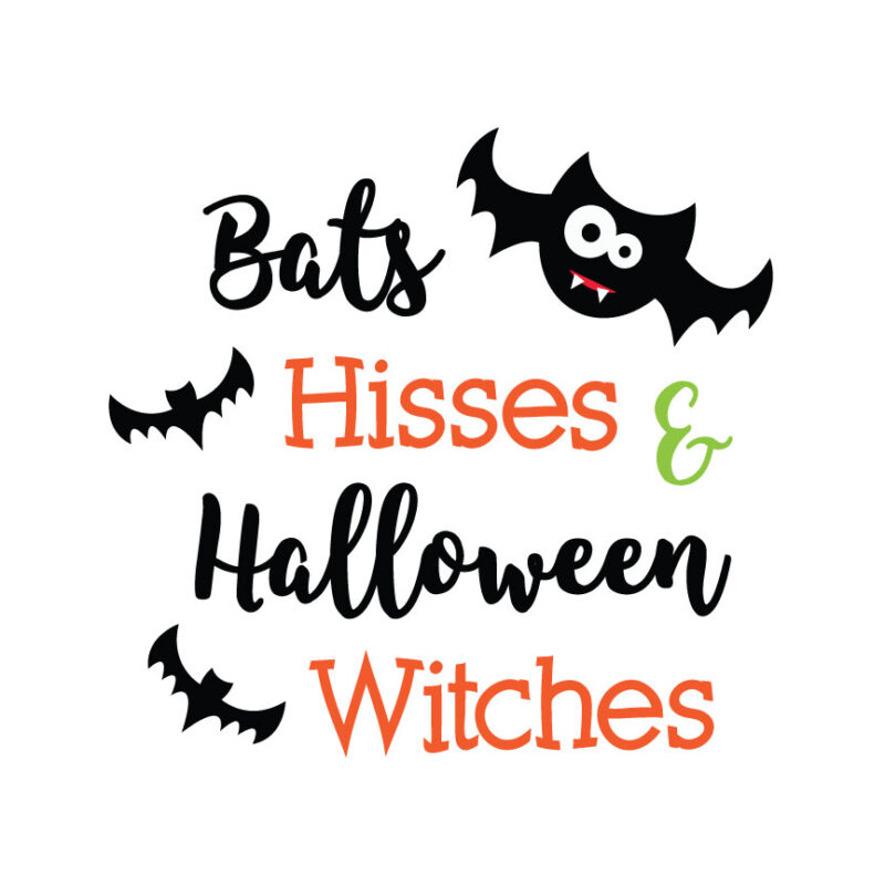 Bats Hisses And Hallween Witches