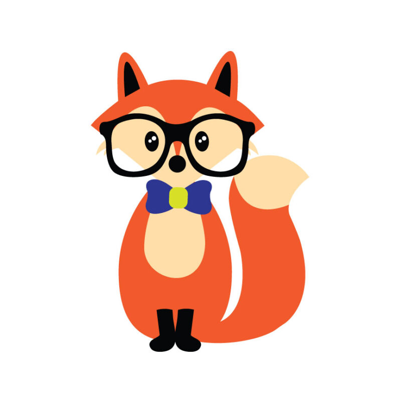 Boy Hipster Fox
