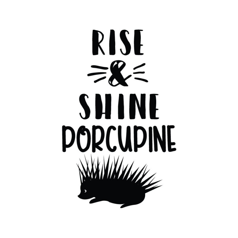 Rise And Shine Porcupine