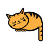 Sleepy Kitty