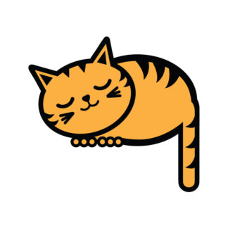 Sleepy Kitty