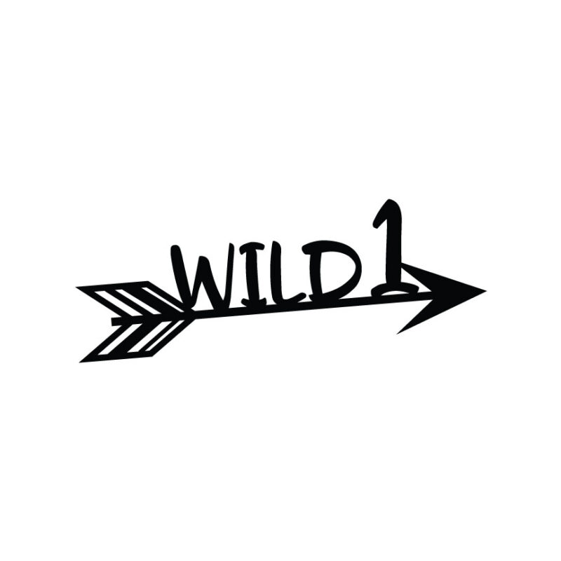 Wild 1 Arrow SVG